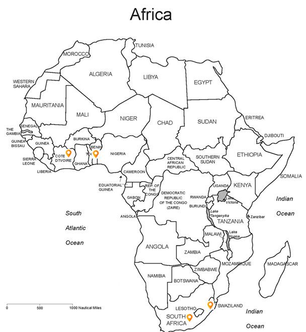 ERP • Text and Image